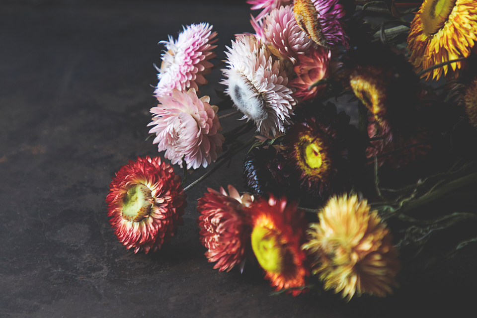 Atelier composition de fleurs séchées